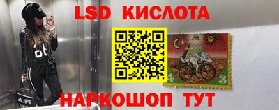 дмт Шелехов
