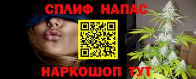 дмт Шелехов